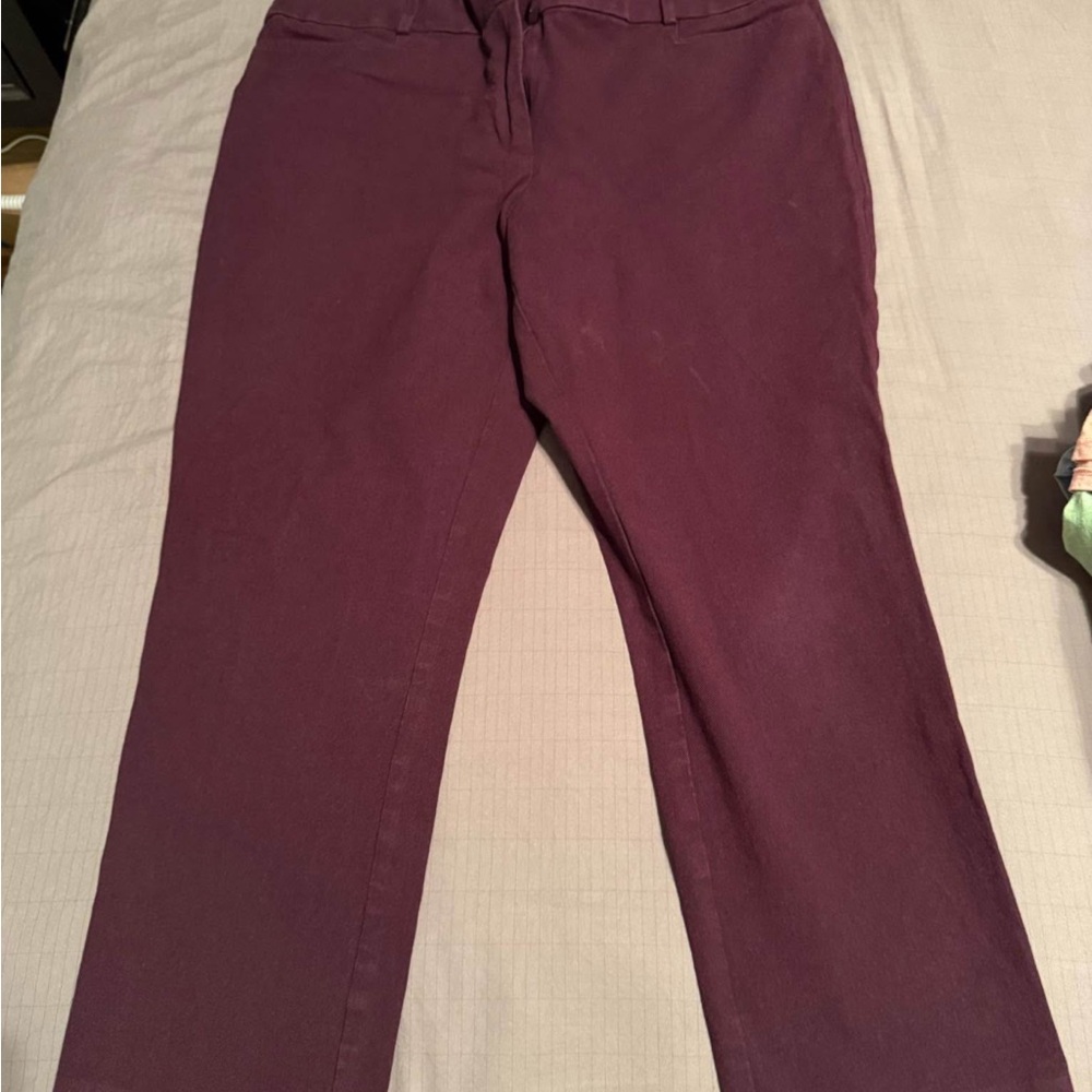 LOFT Women's Purple Pants